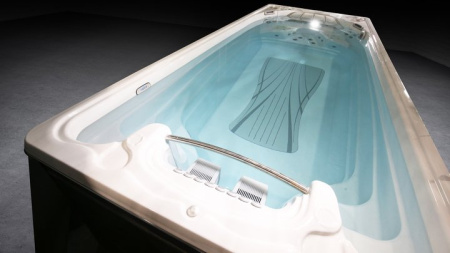 Бассейн с противотоком Hydropool Executive Trainer 19EX